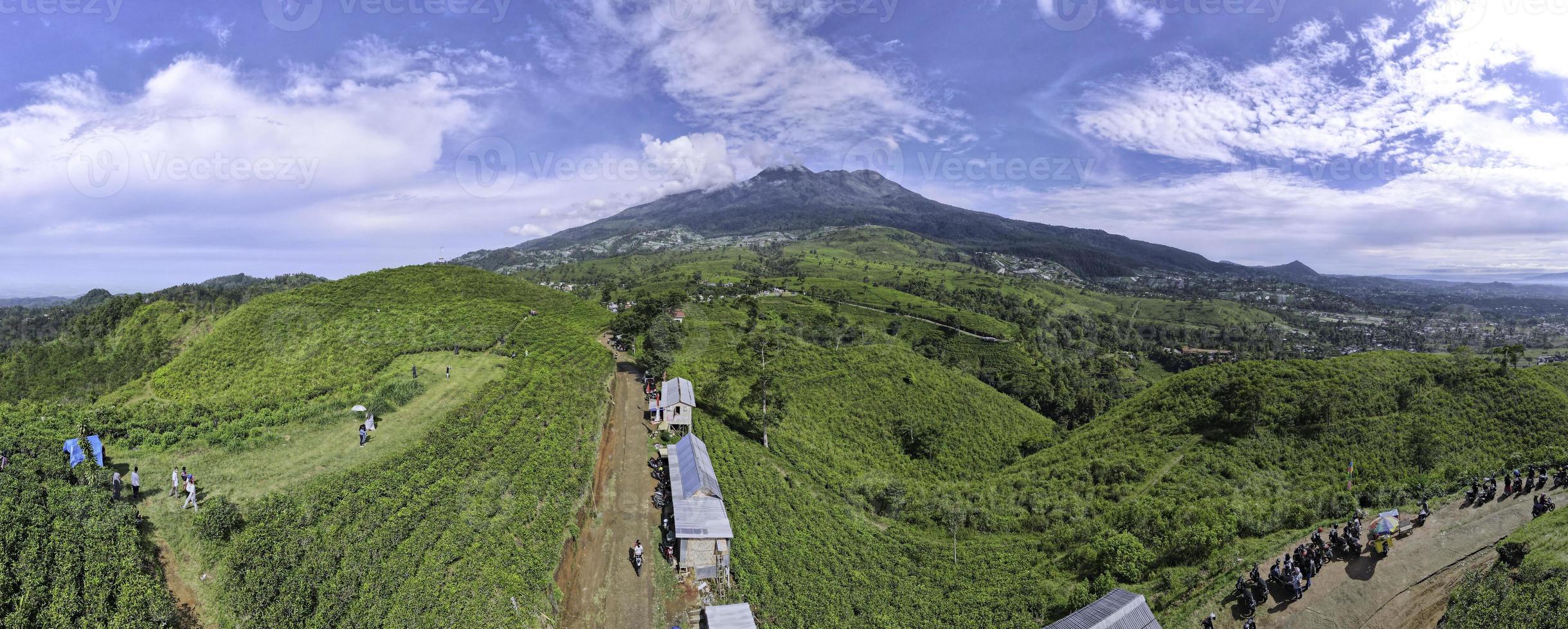 Aerial view of tea plantation in Kemuning, Indonesia with Lawu mountain background photo