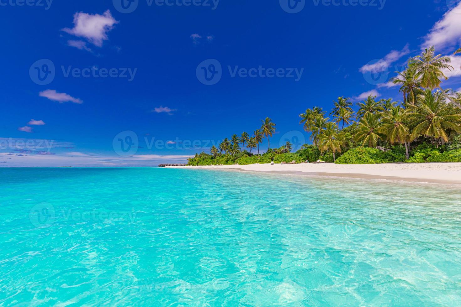 Maldives island beach. Tropical landscape of summer scenery, white sand with palm trees. Luxury travel vacation destination. Exotic beach landscape. Amazing nature, relax, freedom nature template photo