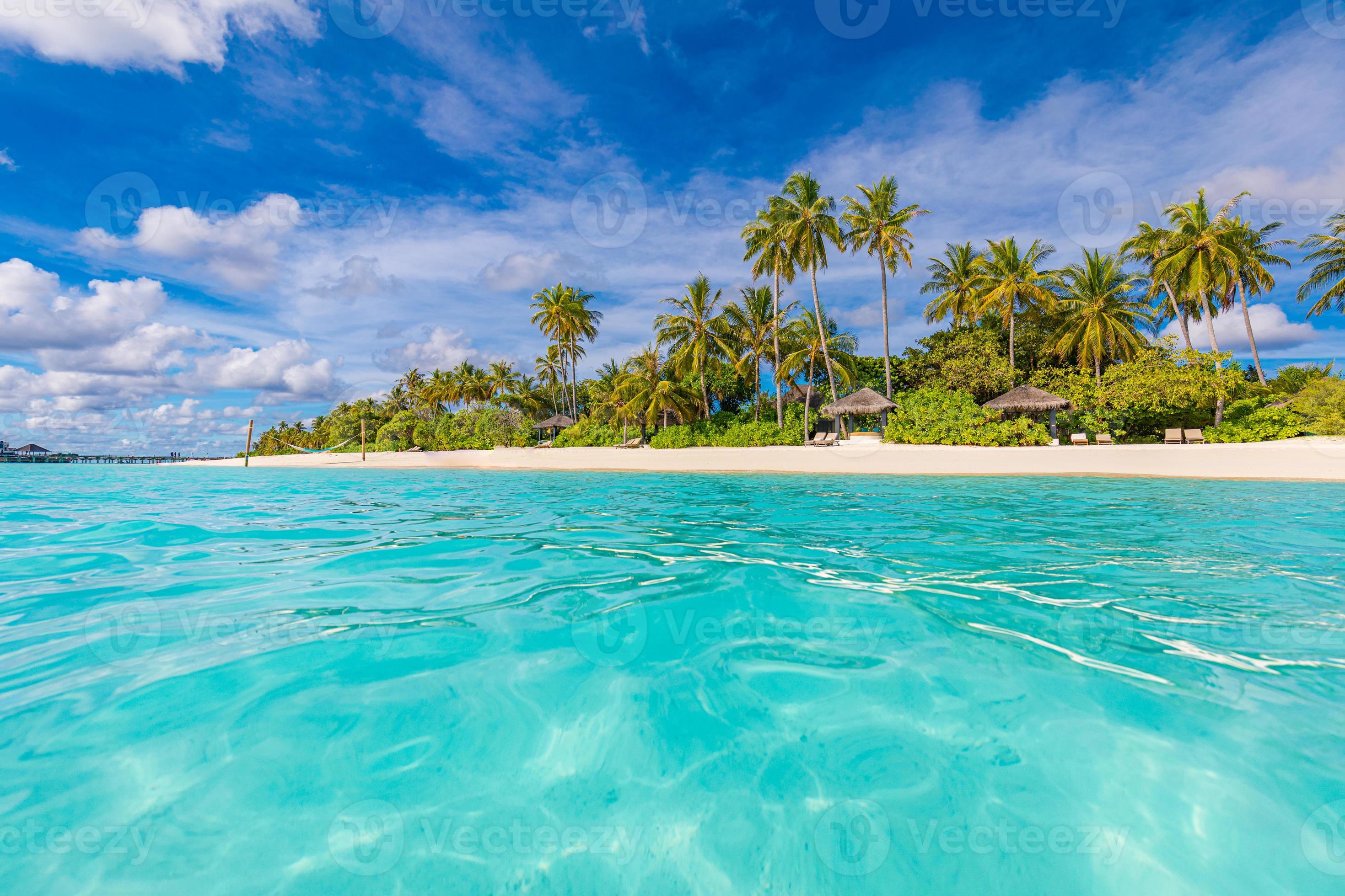 Tranquil beach scene. Sunny exotic tropical landscape wallpaper. Design ...