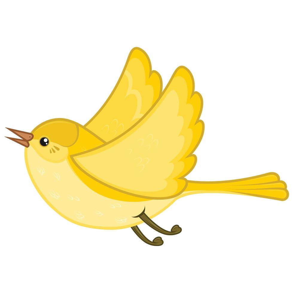 bird cartoon design vector
