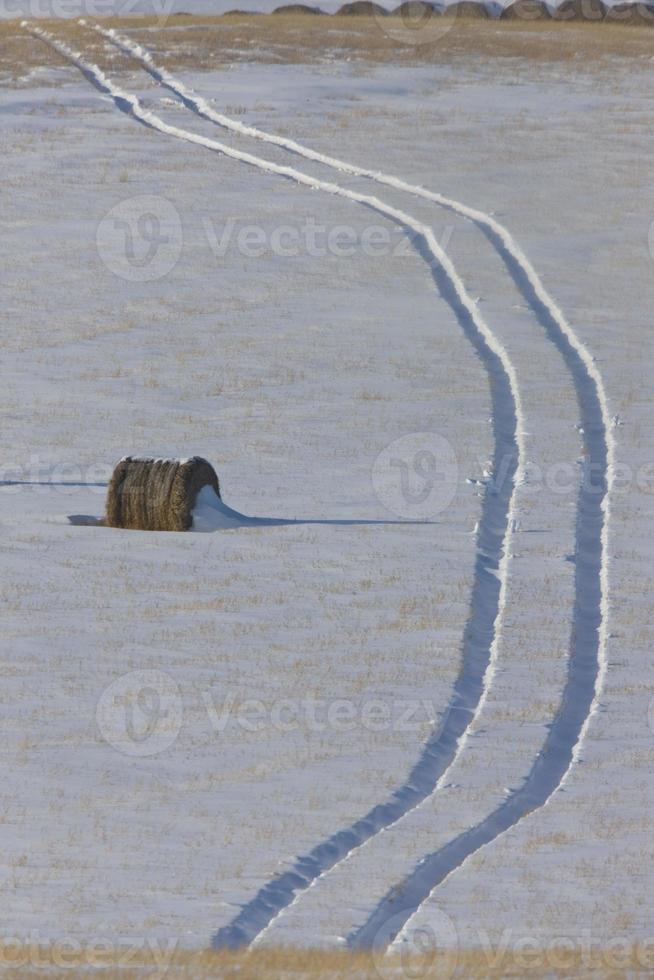 Hay Bale and tractor tracks photo