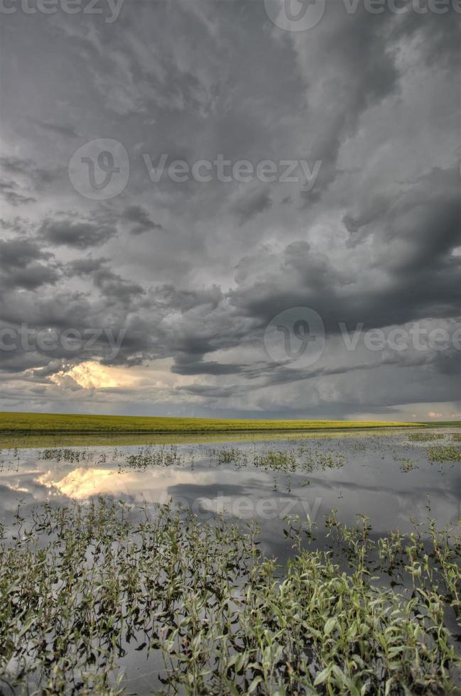 Slough pond and crop photo