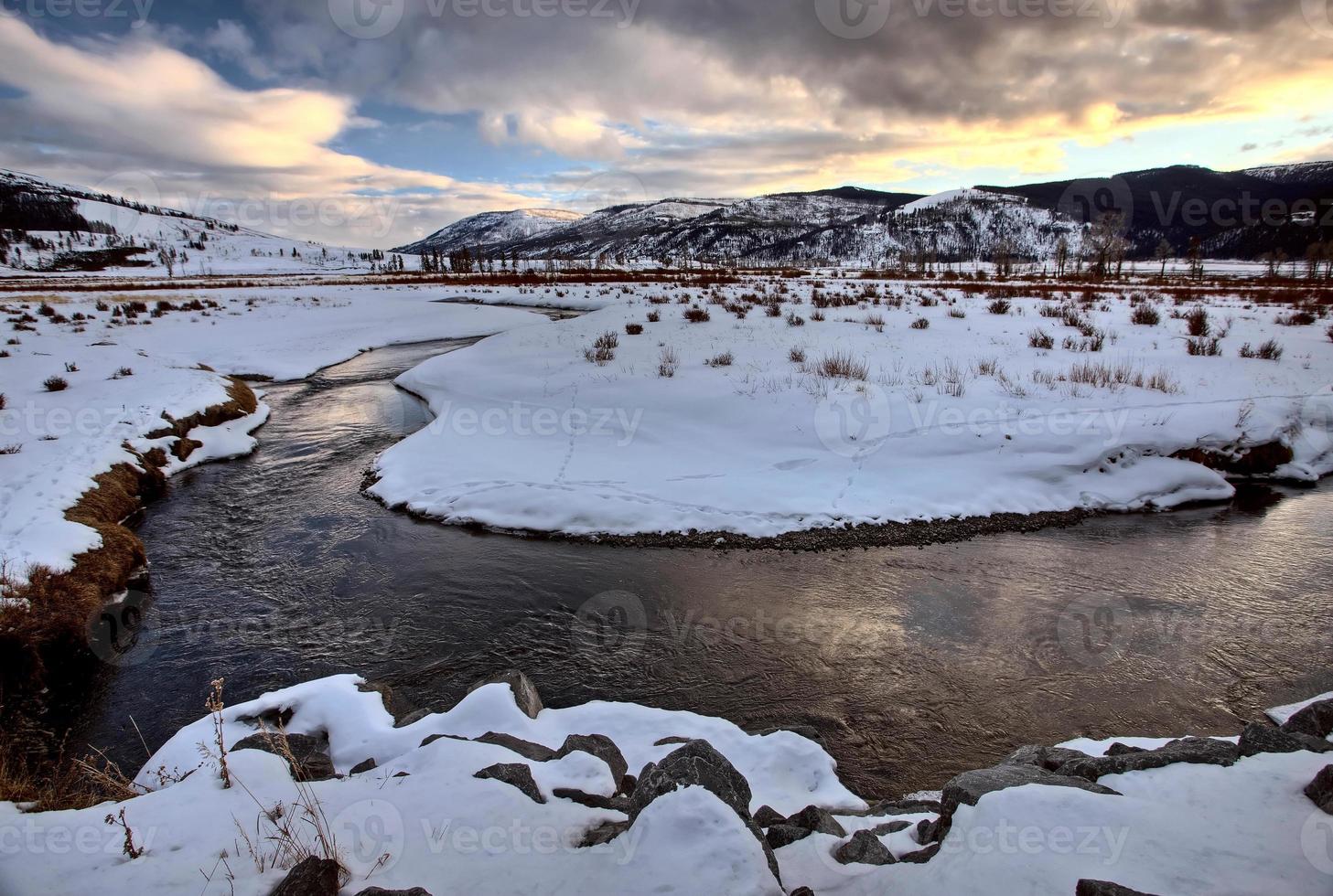 parque de yellowstone wyoming invierno nieve foto