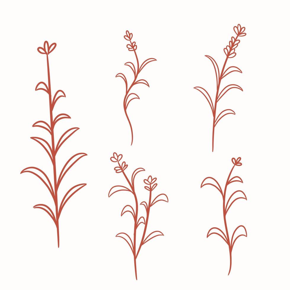 hand drawn decorative flower and leaves collection vector