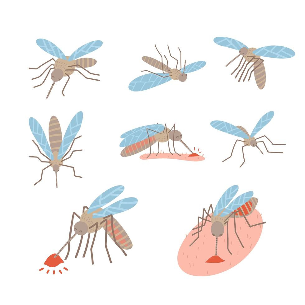 conjunto de plagas de mosquitos para aceite repelente, anuncios de aerosol y parches, afiche. colección de mosquitos voladores, mentirosos y chupadores de sangre. Ilustración de vector plano.