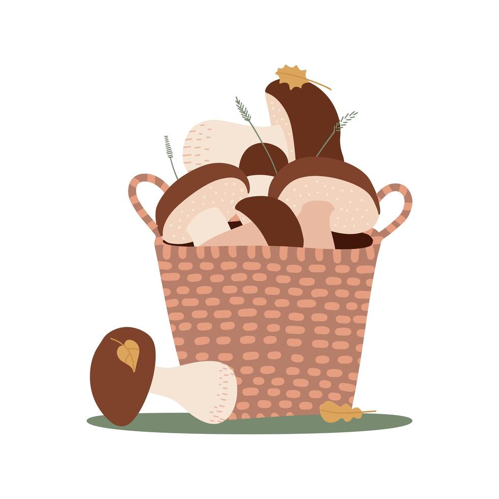 Wicker Basket with porchini mushrooms isolated on white background. Set of cut edible wild forest mushrooms. Vector cartoon flat hand drawn illustration.