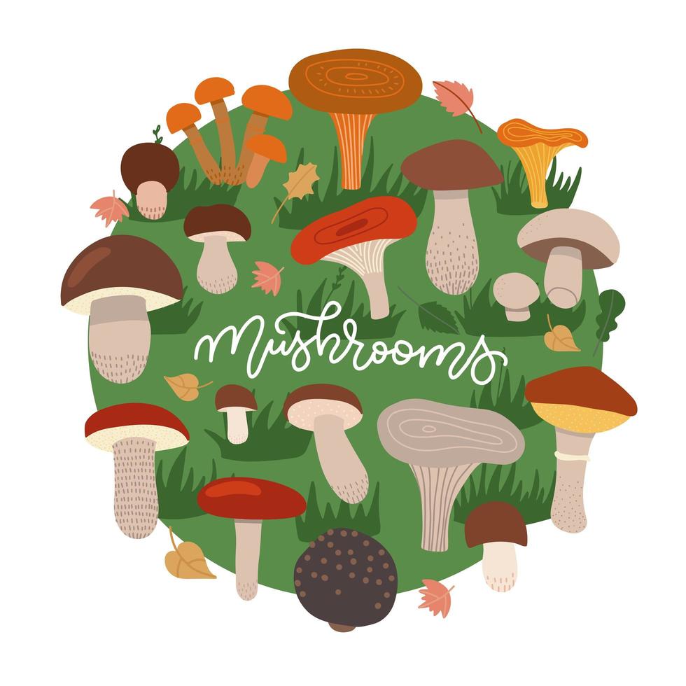 Mushrooms edible vegeterian mushrooming poster circle composition. Cartoon champignon, boletus, forest chanterelle patterned round concept on green grass circle. Vector flat hand drawn illustration.