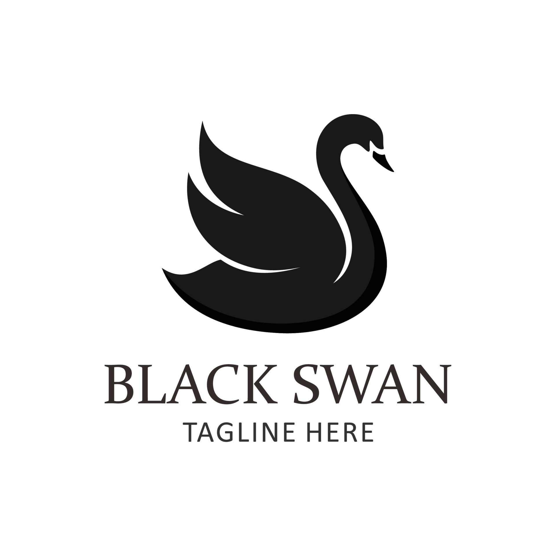 Black Swan Arts & Media