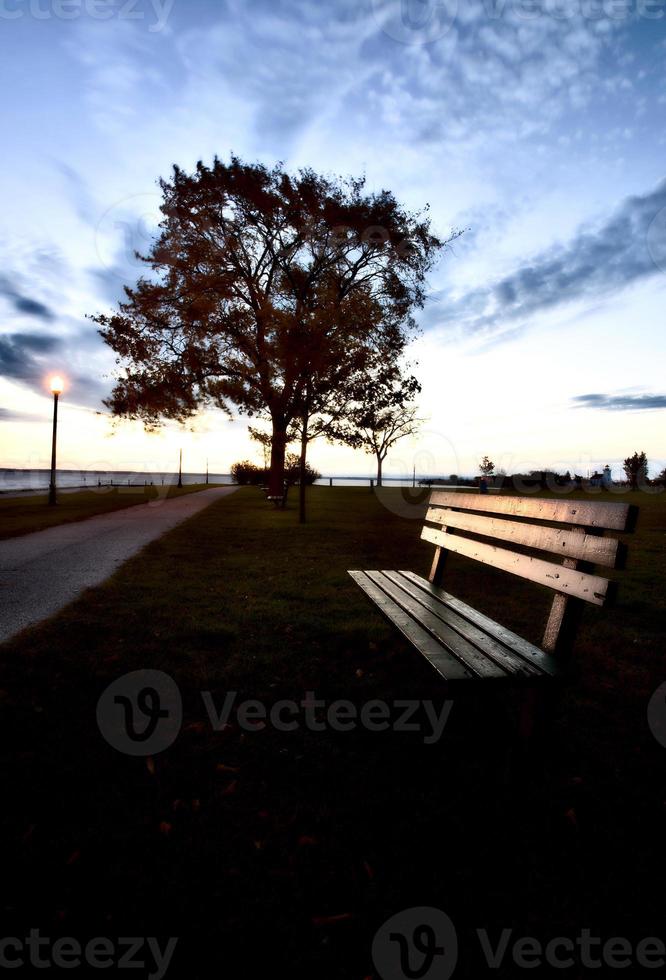 Bench and Street Light photo