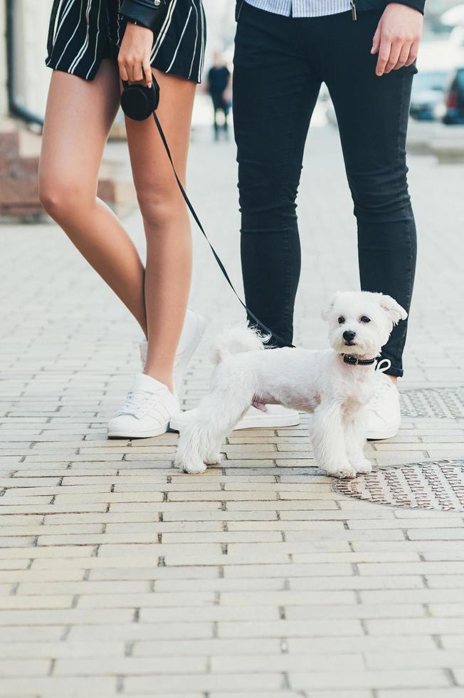 lindo pequeño perro blanco y piernas de pareja joven, en la calle foto