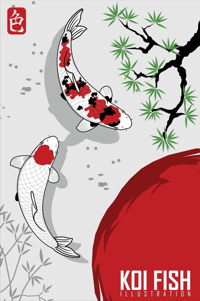 KOI FISH ILLUSTRATION vector