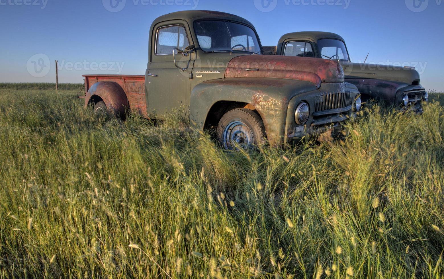 Vintage Farm Trucks photo