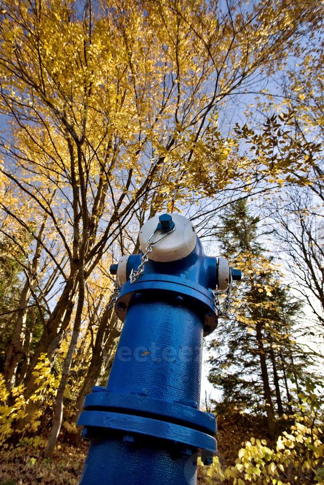 boca de incendios azul foto