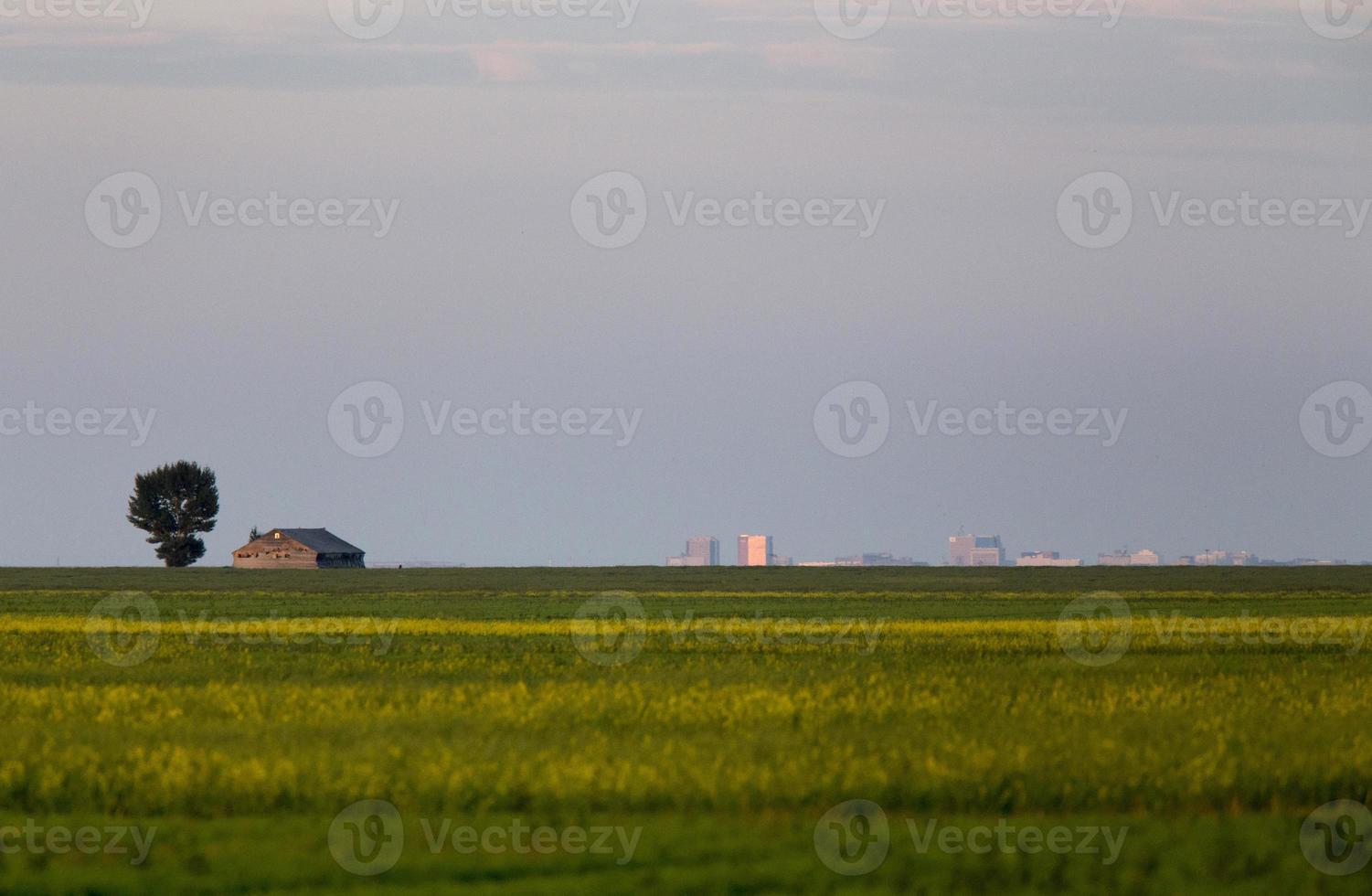 Abandoned Farm Building photo