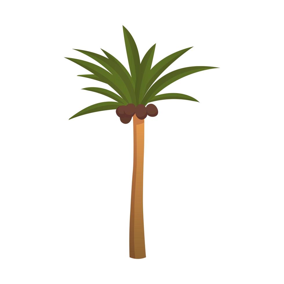 Realistic tall green palm tree isolated on white background - Vector