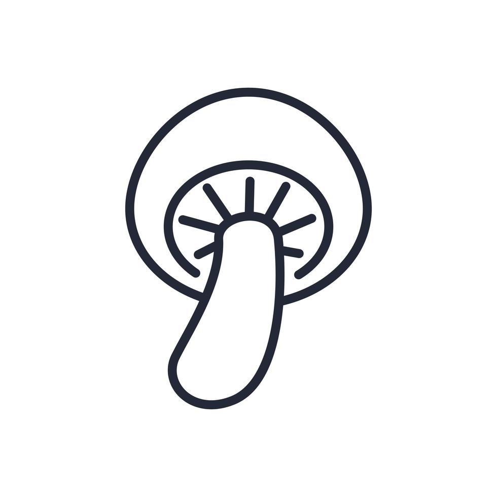 Stylish thin line icon of mushrooms on a white background - Vector