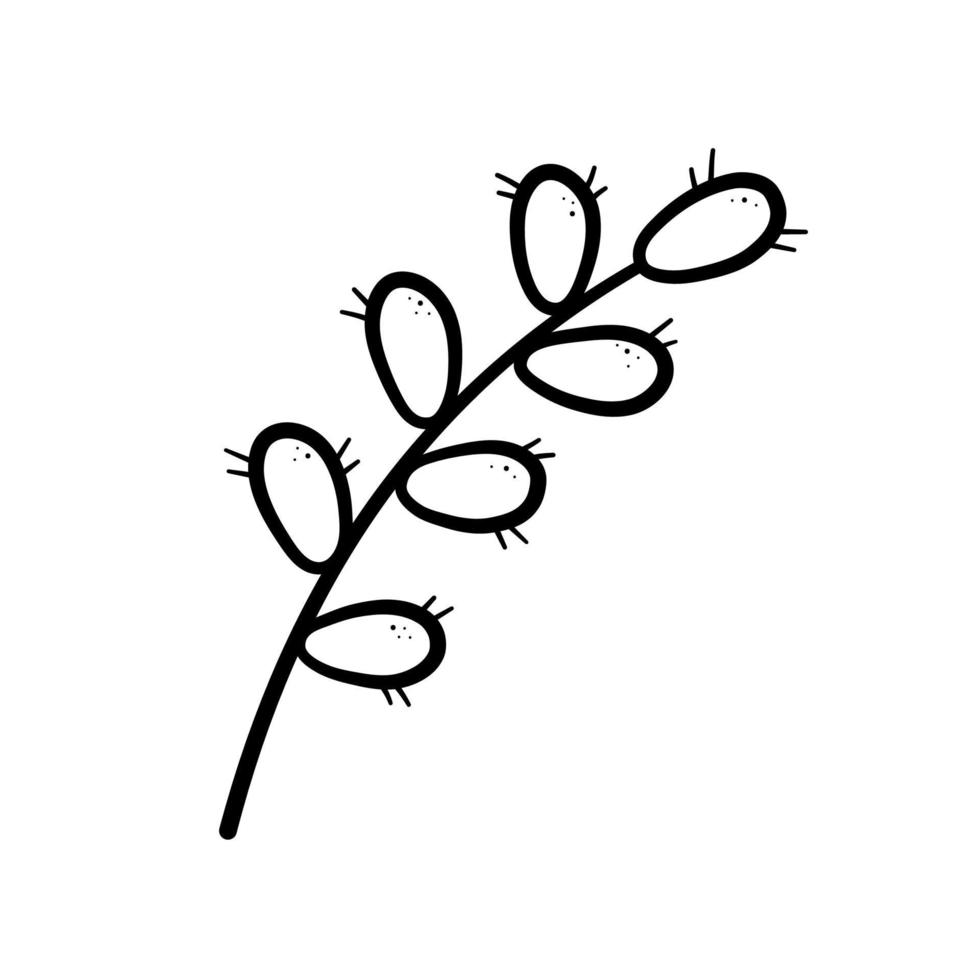 Spring twig easter pussy willow tree. Hand drawn icon in doodle line style. Isolated vector illustration..