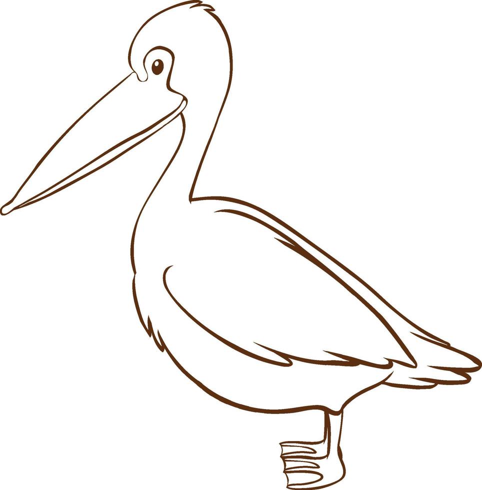 Pelican in doodle simple style on white background vector