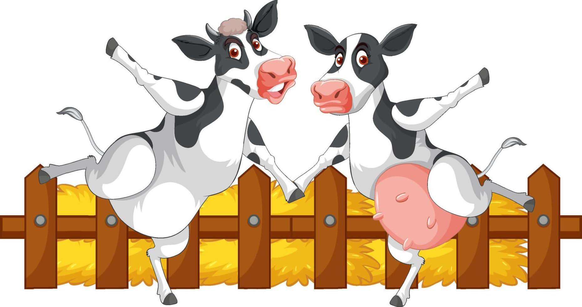 A couple of milk cows standing with two legs cartoon character vector