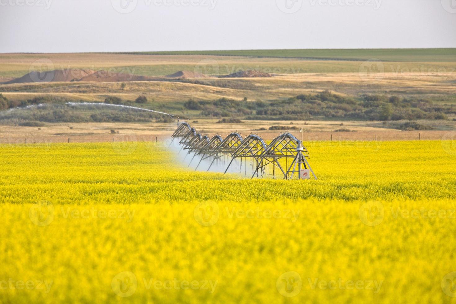 Irrigation sprinklers at work photo