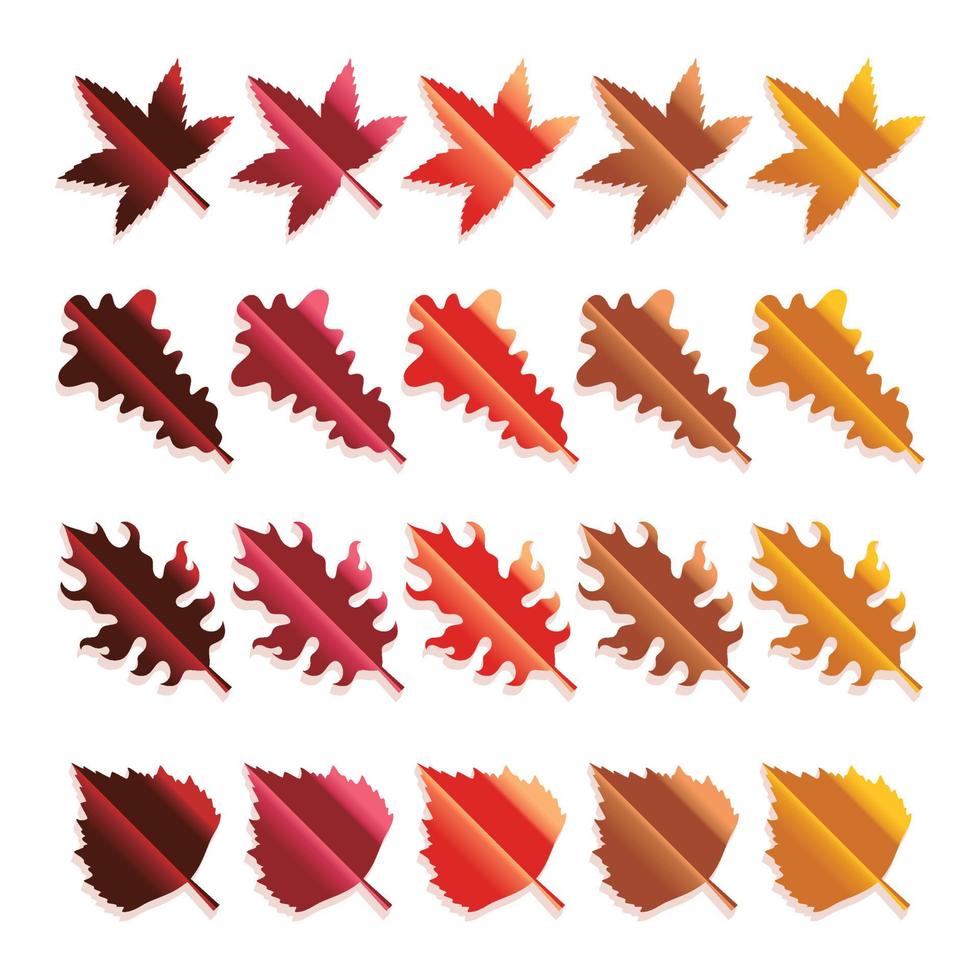 conjunto de coloridas hojas de otoño vector