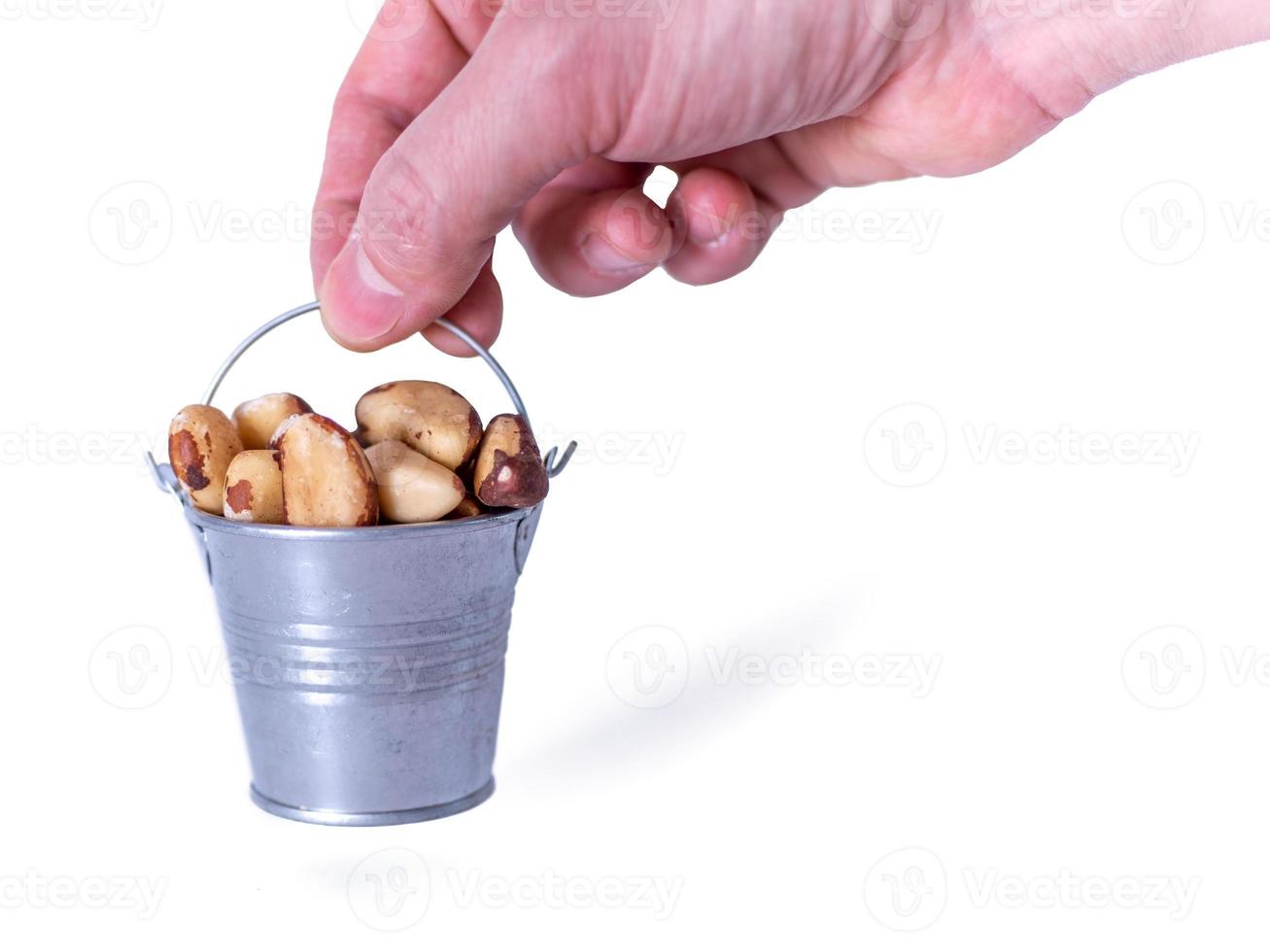 Brazil nut in a bucket white isolate background photo