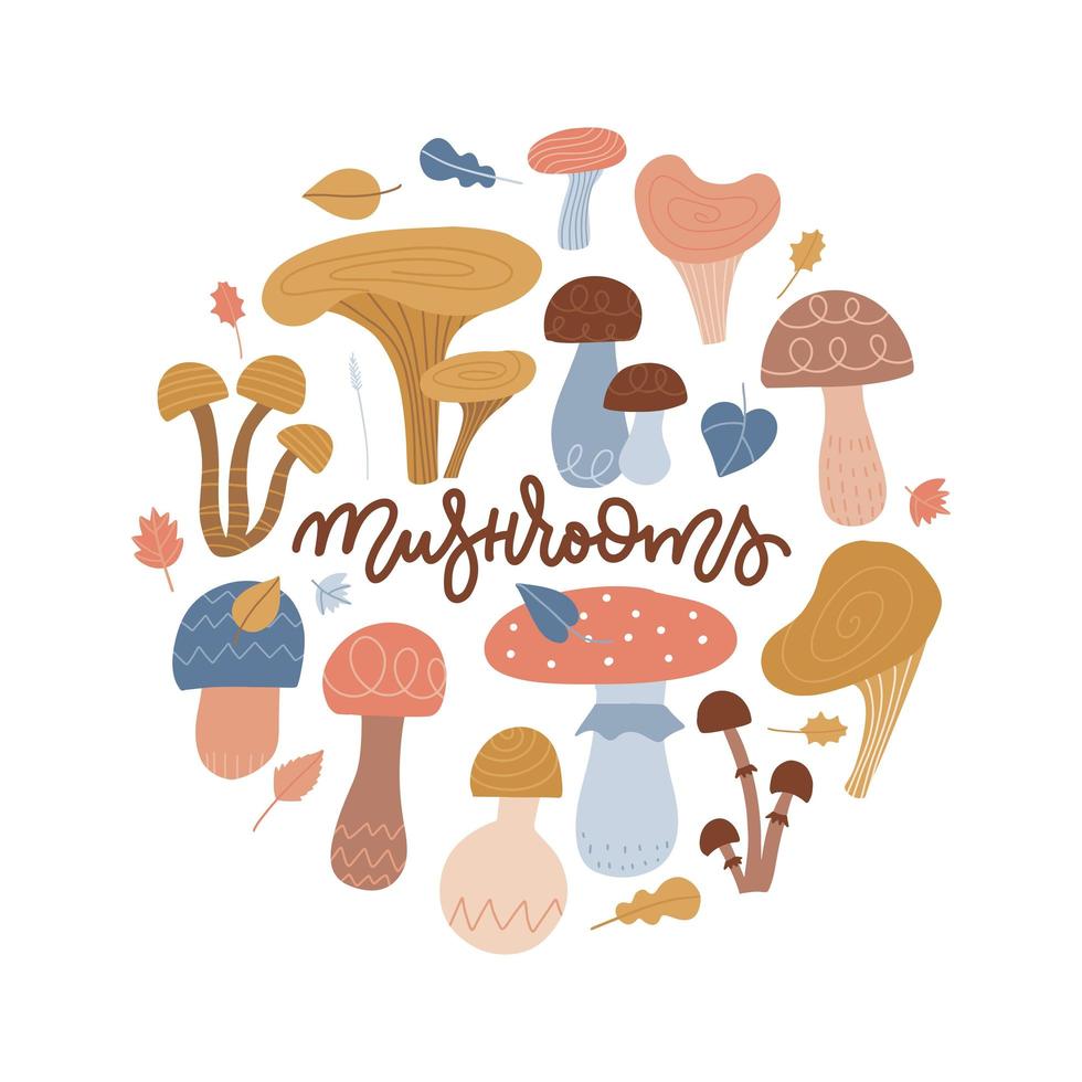 Round frame with forest mushrooms. Circle composition for card, banner or placard. Collection of different abstract mushrooms with roots. Isolated Vector flat hand drawn illustration