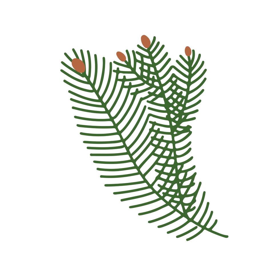 Hand drawn a branch of a Christmas tree. Fir branches. Freehand isolated element. Vector flat Illustration. Only 5 colors - Easy to recolor.