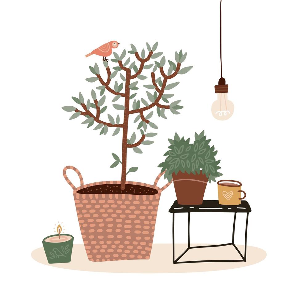 Pastel color composition with small potted tree, hot beverage in mug, candle and houseplant isolated on white. Cozy hygge scene with lamp, cup of coffee, plant. Vector flat cartoon illustration