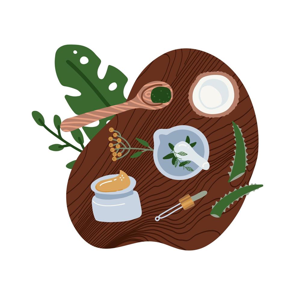 Flat lay natural cosmetics ingredients - plants, coconut. Top down view of homemade organic cosmetic. Hand made beauty products. Cosmetic made at home concept. Flat vector illustration.