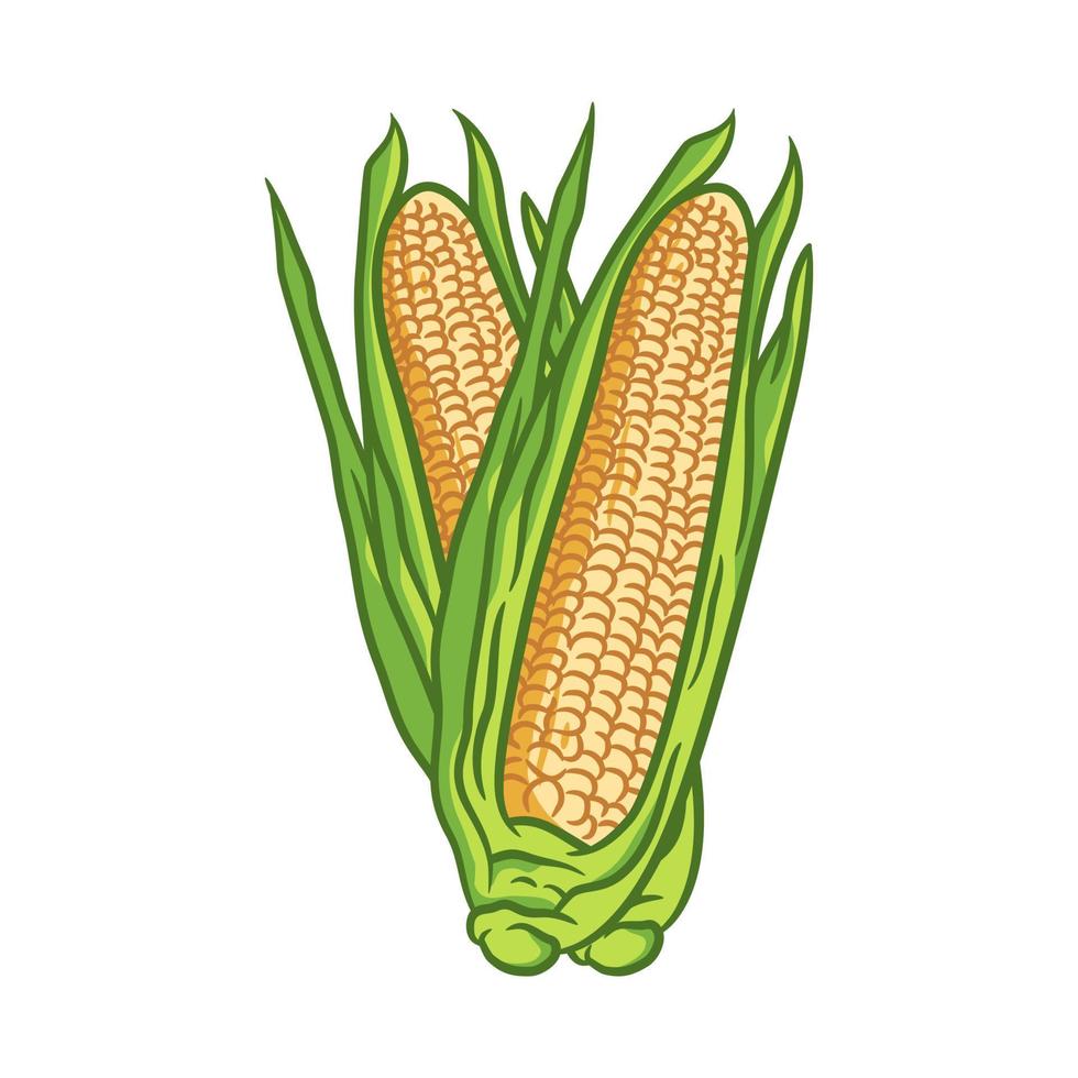 Corn fresh farm healthy food illustration vector