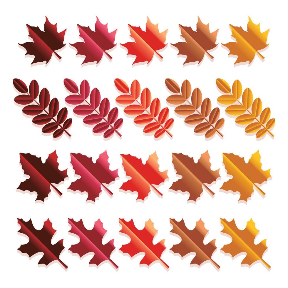 Set of colorful autumn leaves vector