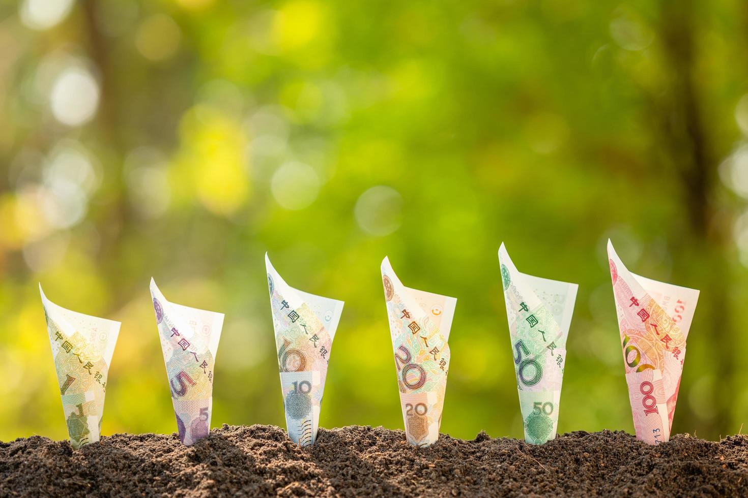 Several Chinese banknote 1-100 Yuan growing in soil with green nature blur background. Business grow up concept photo