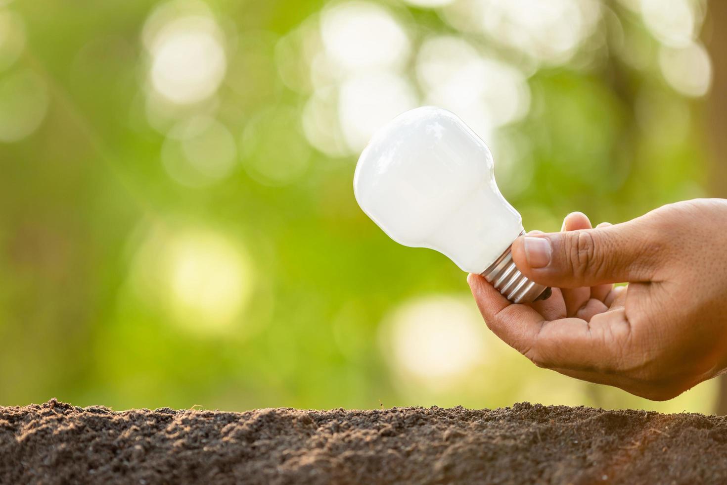 concepto de crecimiento o ahorro de energía. personas que plantan bombillas de luz blanca en el suelo en un jardín verde o en un desenfoque natural foto