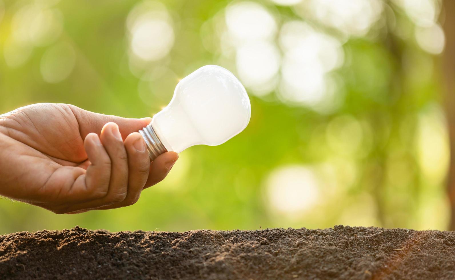 Growth or Saving Energy concept. People planting white light bulb in soil on green garden or nature blur photo