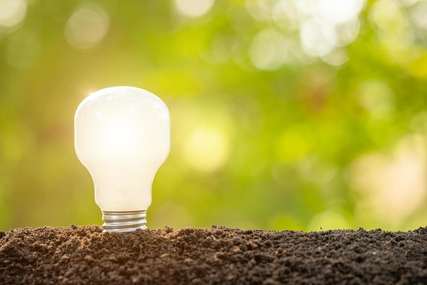 Growth or Saving Energy concept. People planting white light bulb in soil on green garden or nature blur photo