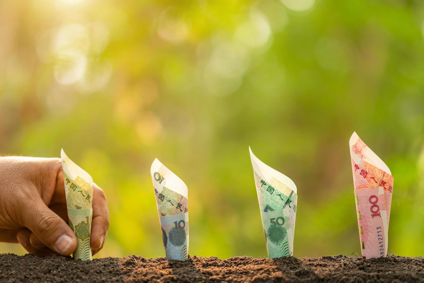 Chinese banknote in soil with green nature blur background. Business grow up concept photo