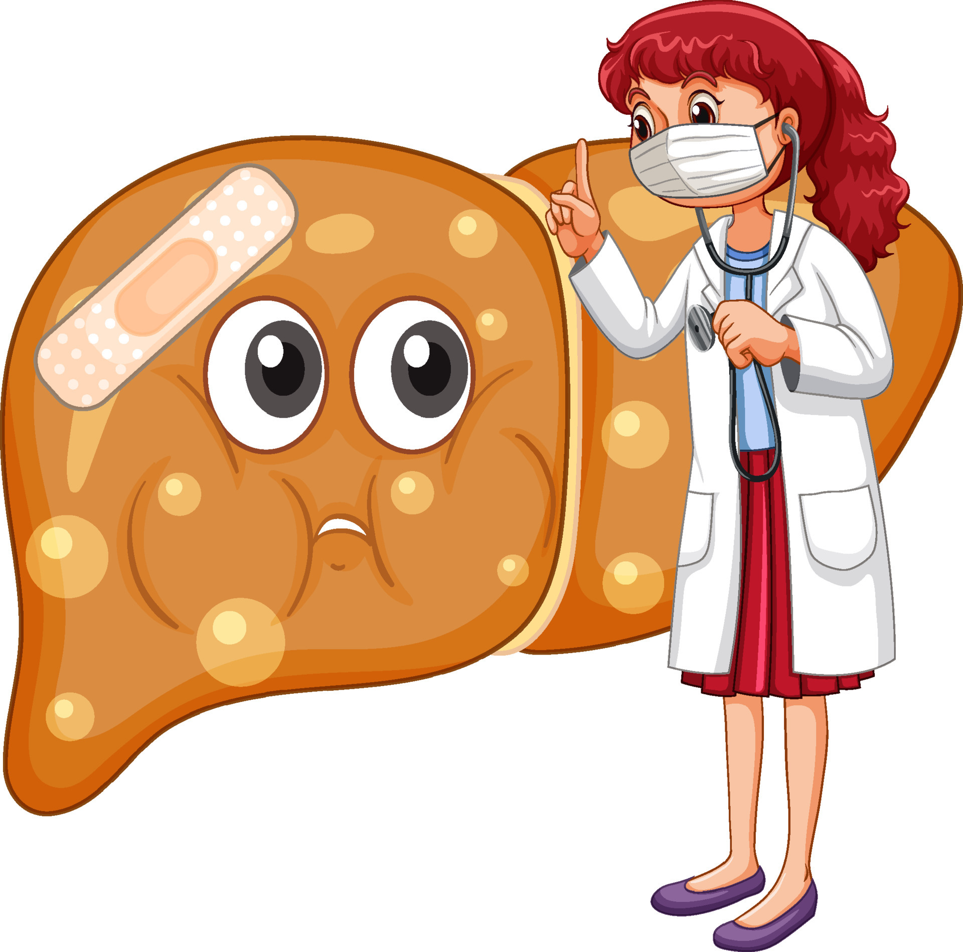 A doctor standing with fat liver on white background 6037343 Vector Art at  Vecteezy