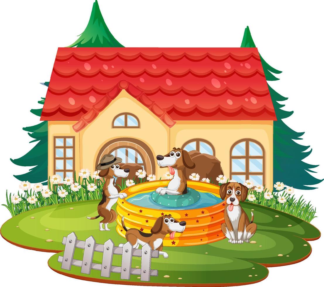 Dogs playing in the pool in front of the house vector