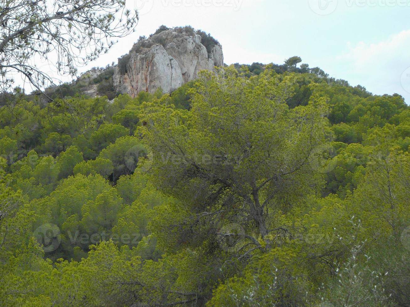 Puig de sa Morisca Moorish Peak archaeological park in Majorca photo