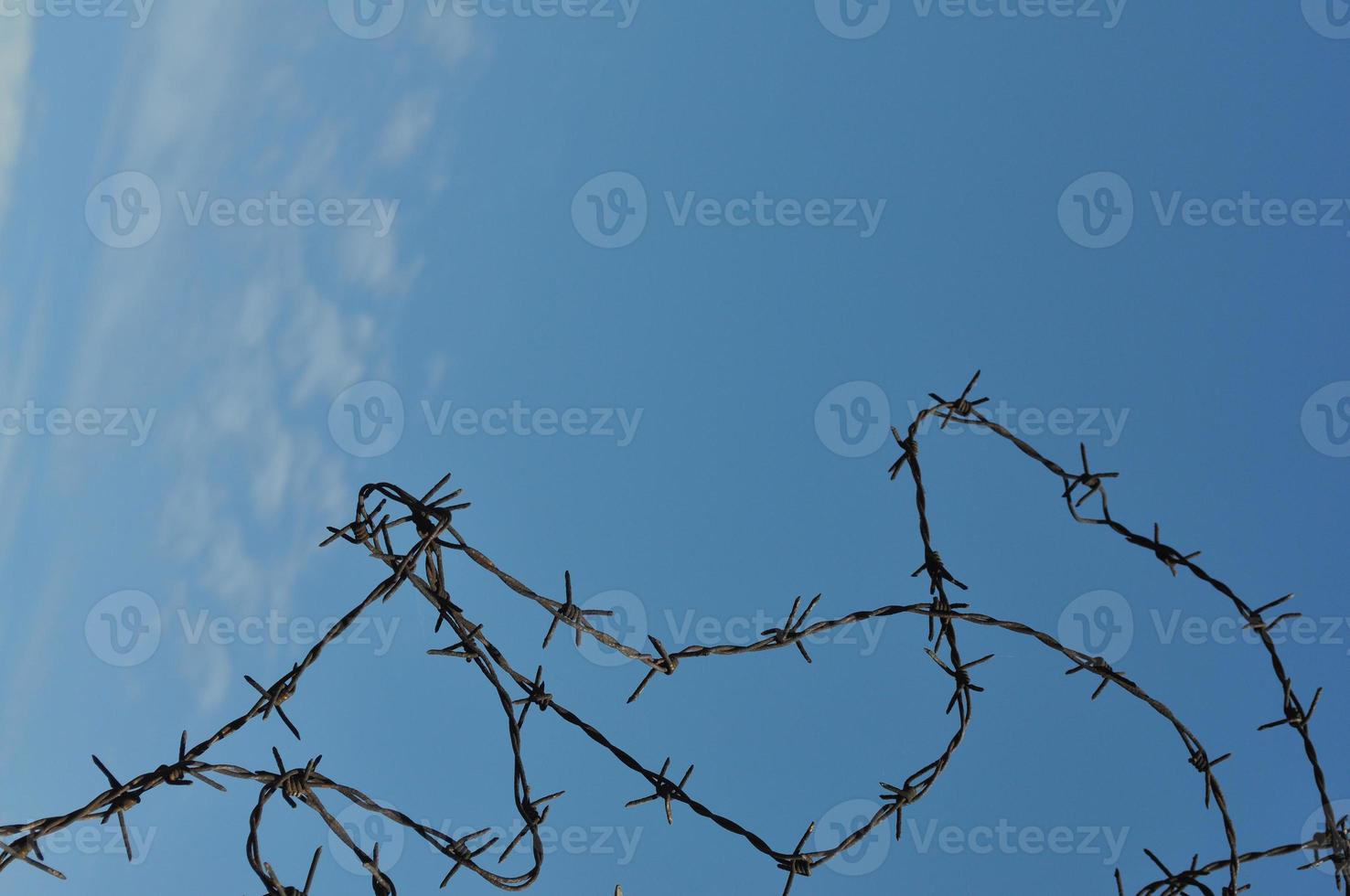 Detail of a barbed wire fence protection photo