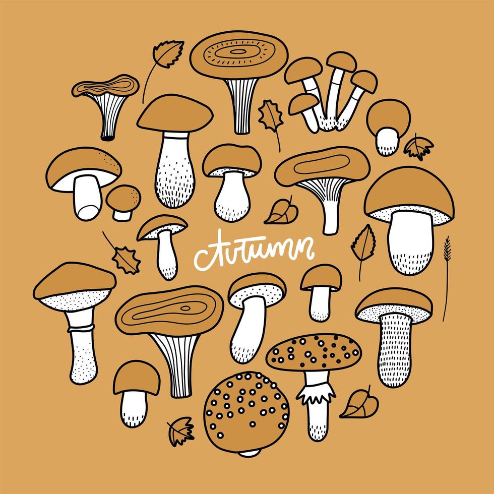 Set of autumn mushrooms in doodle Line drawing style, hand drawn vector illustration. Black and white picture on yellow background.