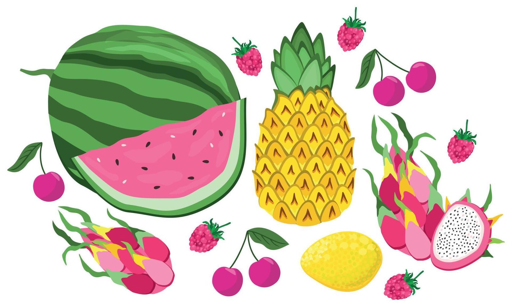 Vector colorful set of sweet juicy fruits and berries.