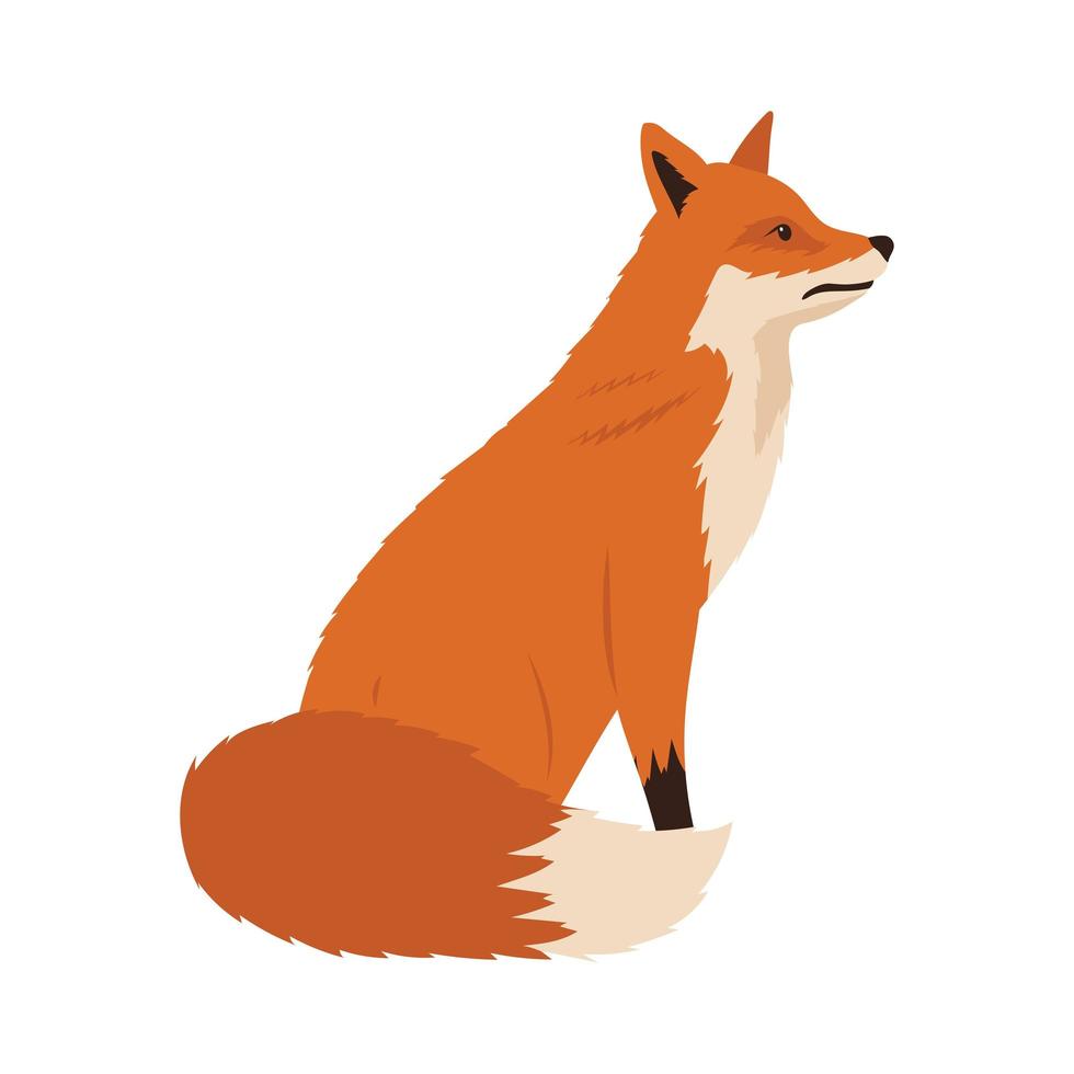 wild fox animal vector