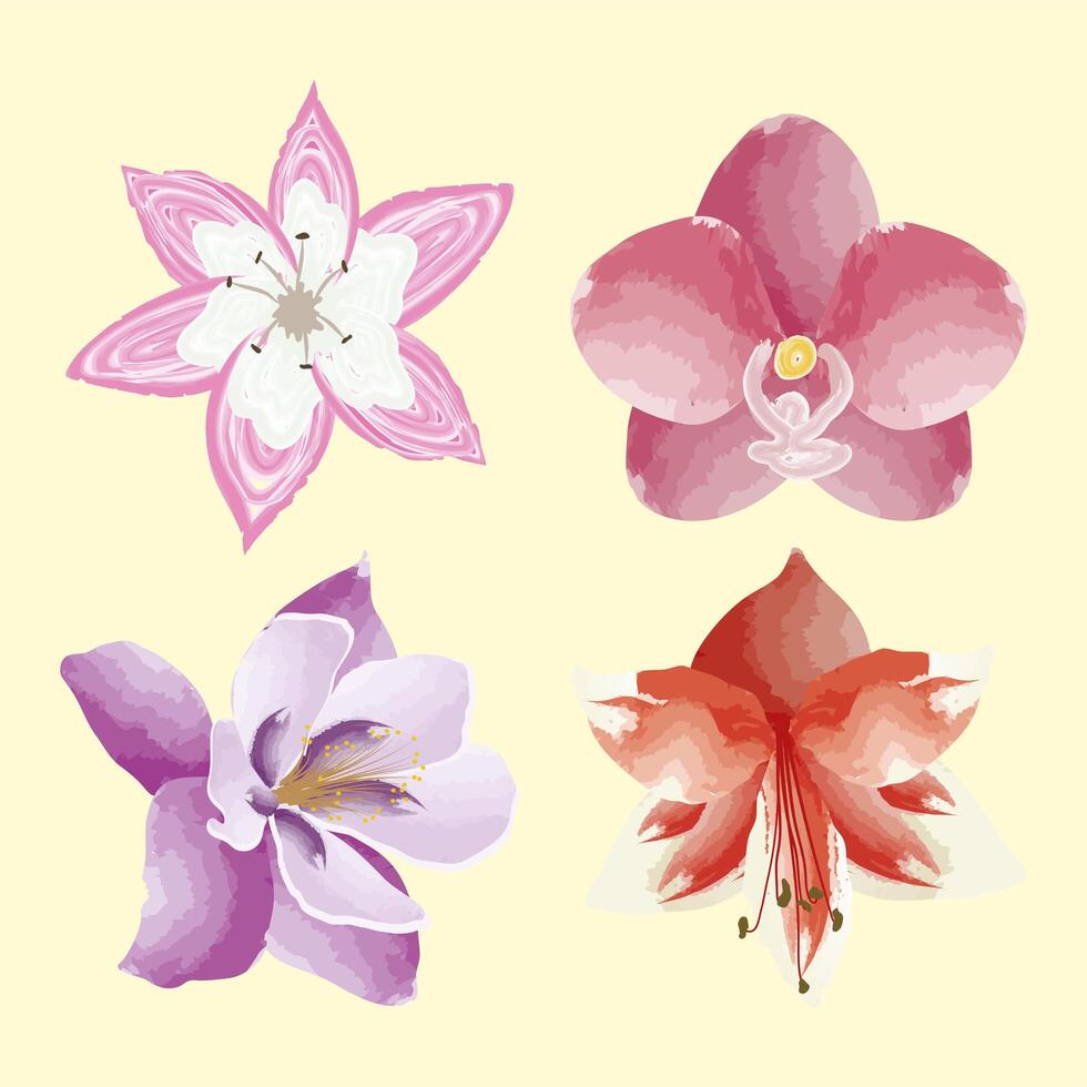 cuatro iconos de flores exóticas vector