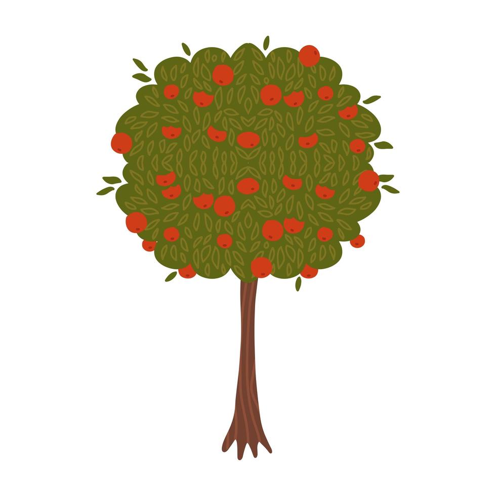 Apple tree flat hand drawn vector illustration isolated on white background. Farming concept - tree with red delicious fruits. harvest infographic elements.