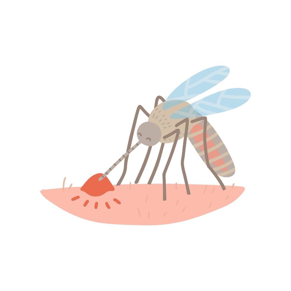 A mosquito on human skin sucking blood. Isolated Vector flat hand drawn illustration