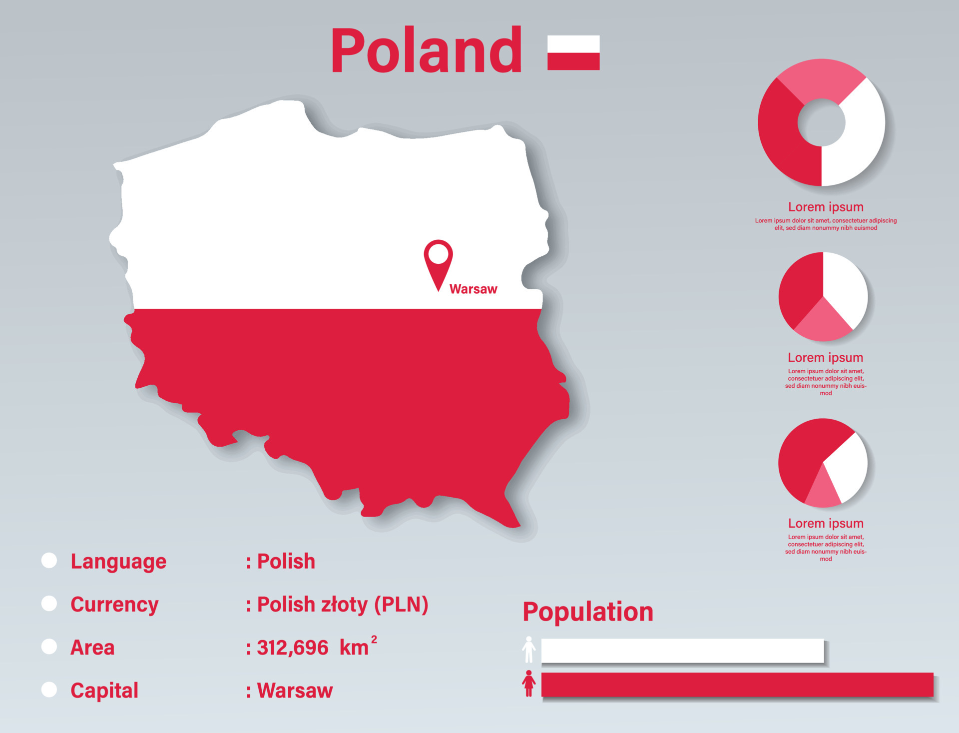 ilustración de vector infográfico de polonia, elemento de datos