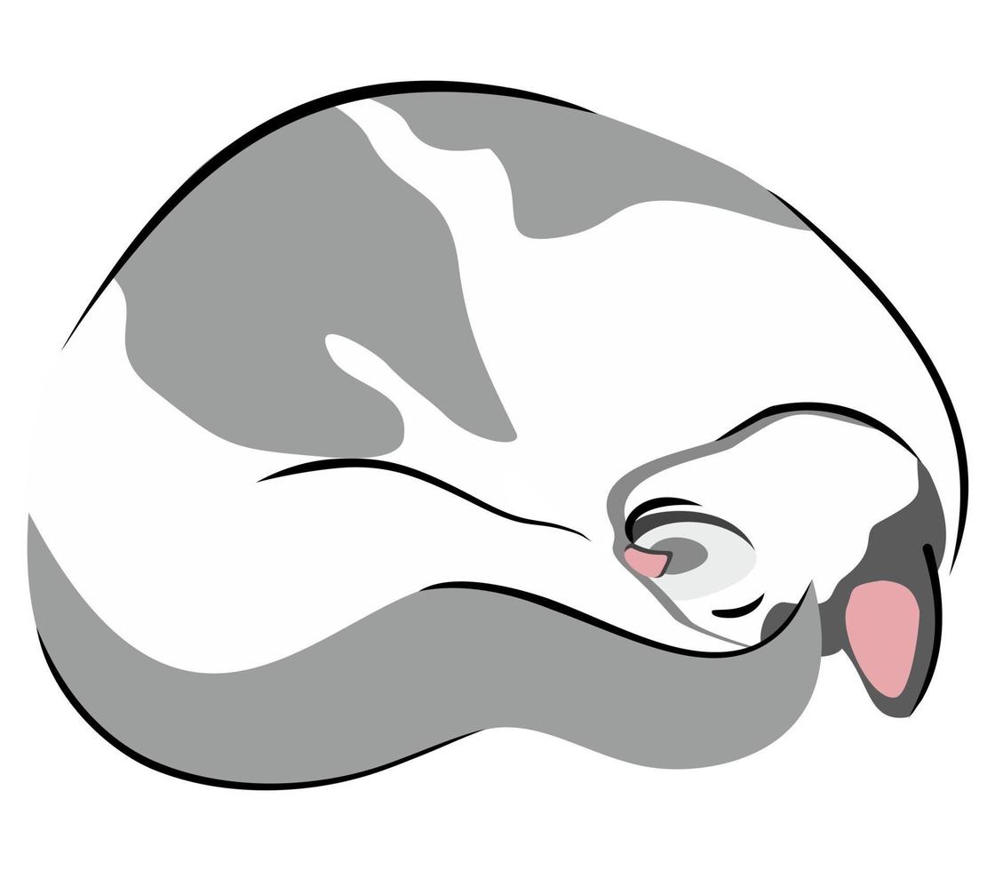 Vector isolated illustration of cat curled up in a ball.