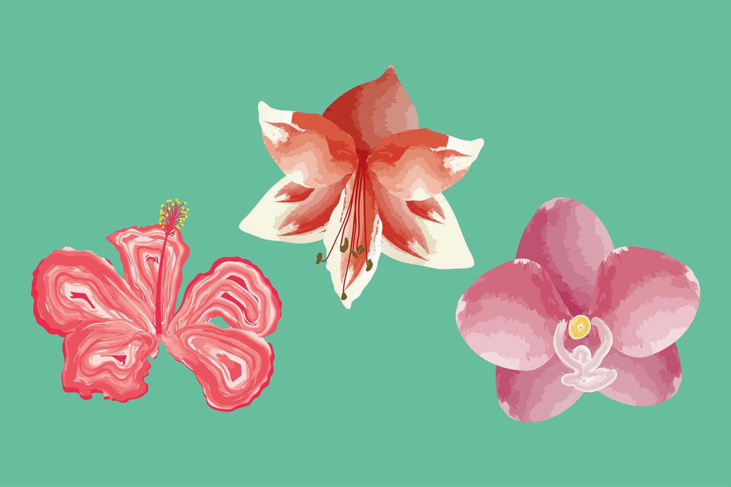 three exotics flowers icons vector